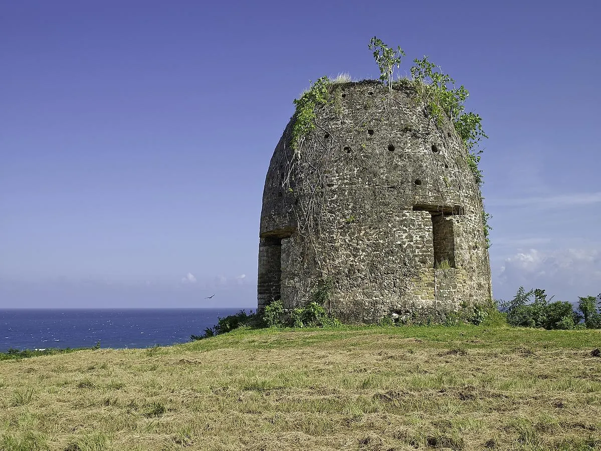 Green Castle Eco Hotel - East Of Ocho Rios And North Kingston Robins Bay