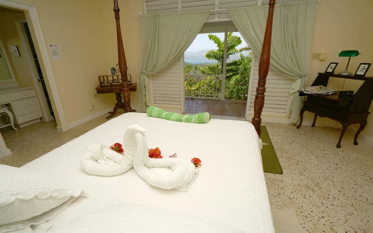 Green Castle Eco Hotel - East Of Ocho Rios And North Kingston Robins Bay 0*,  Jamaica