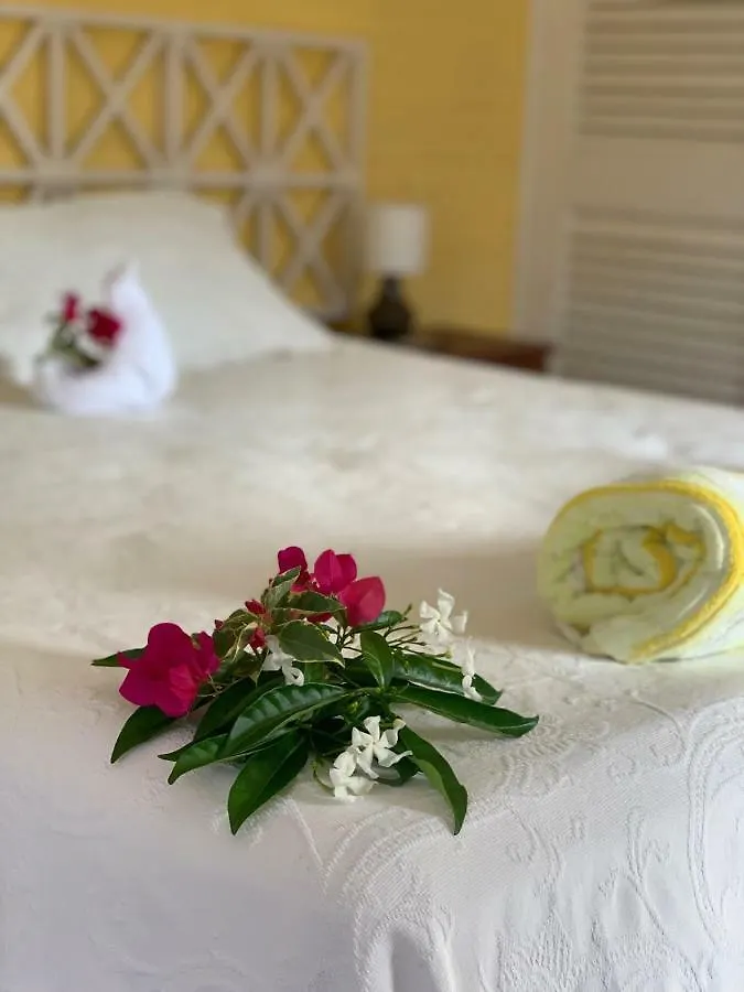 Green Castle Eco Hotel - East Of Ocho Rios And North Kingston Robins Bay