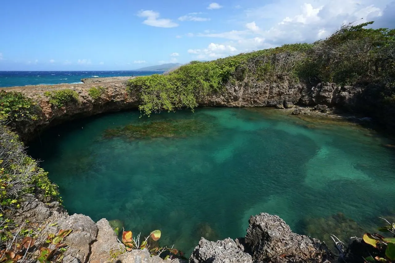 Lodge Green Castle Eco Hotel - East Of Ocho Rios And North Kingston Robins Bay Jamaica