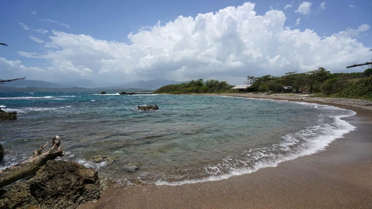 Green Castle Eco Hotel - East Of Ocho Rios And North Kingston Robins Bay